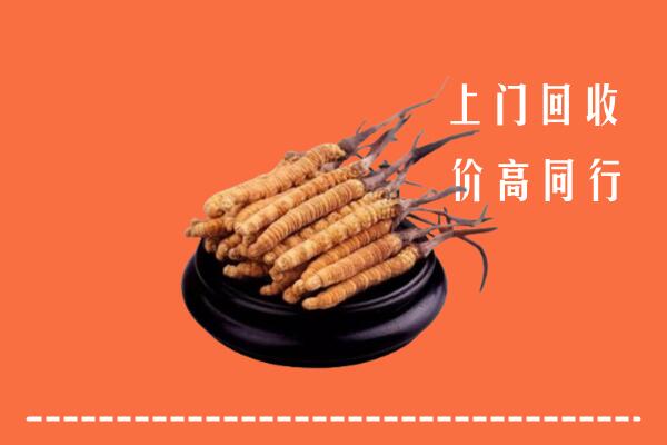 高价求购：烟台牟平回收散虫草