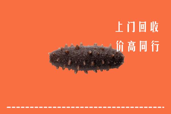 高价求购：烟台牟平回收海参