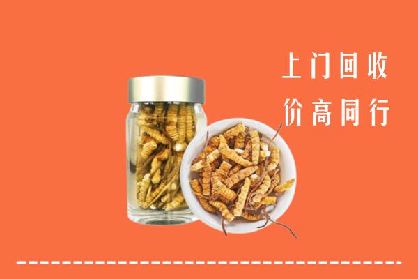 烟台牟平回收冬虫夏草